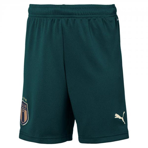 Puma FIGC Shorts Ponderosa Pine Peacoat